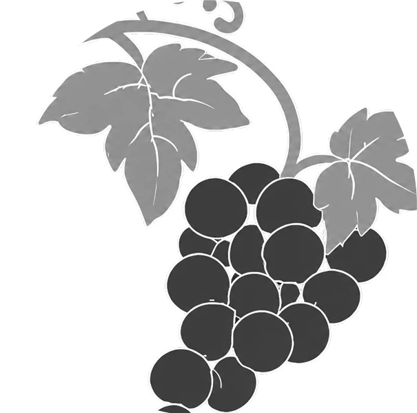 The Vineyards California Armenian Home