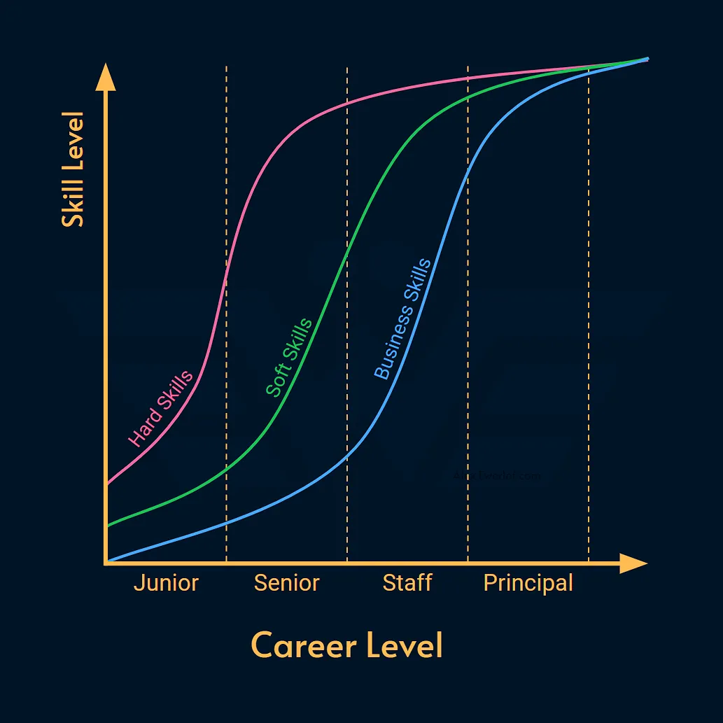 Hard, Soft, Business Skills